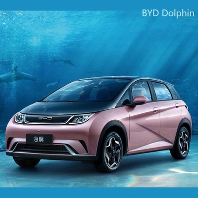 Eine Revolution in der Elektromobilität Der Byd Dolphin mit 800W Leistung und Anpassung