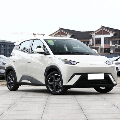 2024 2023 erschwinglich geschlossen 305 km 405 km Klein Elektroauto EV Byd Seegull Haiou Limousine