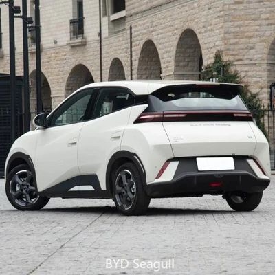 Elektrische Steuerung Typ Anpassung Byd Seagull Gebrauchtwagen Energiefahrzeuge