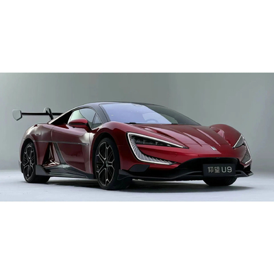 Vorder- und Rückscheibe Dsic Bremssystem für Yang Wang U9 Super Car EV Electric