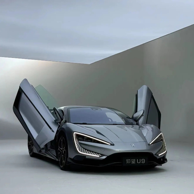 Vorder- und Rückscheibe Dsic Bremssystem für Yang Wang U9 Super Car EV Electric
