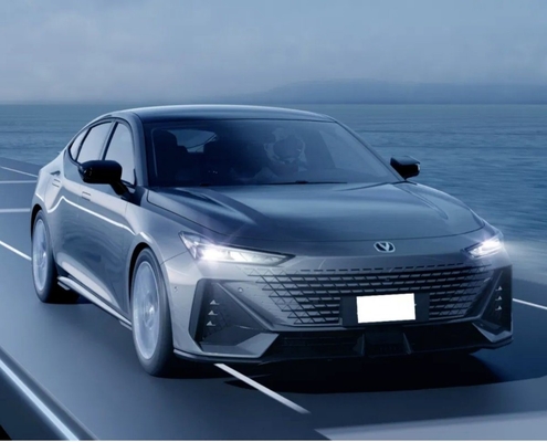 Kleine SUV Benzinwagen Limousine Fahrzeug mit Kilometerlauf ≤10000 km und Lebensdauer ≤1 Jahr