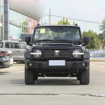 Benzinbehälter 300 2023 Modell 2.0t Iron Rider 02 SUV 5 Sitzplätze Leistung