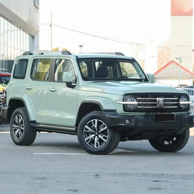 Auto-Serie Benzinbehälter 300 2023 2,0t On-Line Vierradantrieb AWD Horgos Kashgar Fast