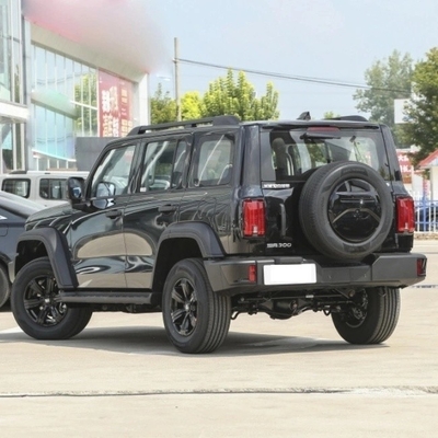 Chinesischer Benzin-SUV 2023 Changcheng Tank 300 2.0t 02 mit mechanischem Bremssystem