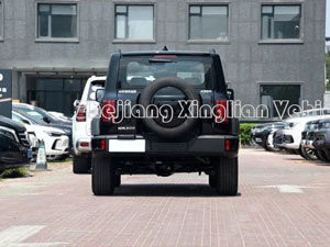 2023 Fahrzeug Tank 300 Gwm Front Awd SUV Hubraum 1000-1600cc und Kraftstoff-Nummer 92