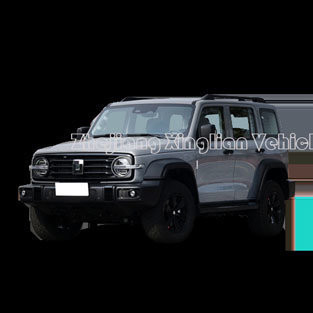 Fahrzeugtank 300 2023 Offroad Version 2.0t Conqueror Fahrzeug mit linkem Lenkrad