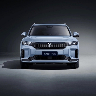 Intelligent Driving Edition Voyah Free 2024 Long Battery Life BEV für die ganze Familie