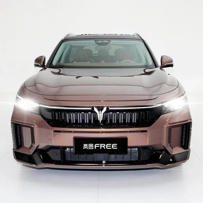 Anpassung Voyah kostenlos Ultra Long Life Smart Driving Version von Speed Elektroauto