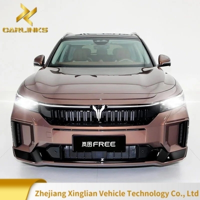 490 PS Motor 2023 Voyah Kostenlose Intelligente Fahrversion EV Elektroauto Anreize