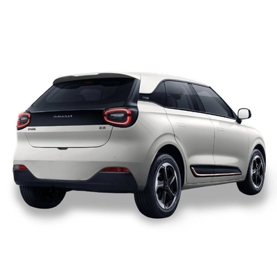 Dongfeng Nano 01 2024 Produkttrending Kleines Elektroauto Nammi 01 Mini EV Anpassung