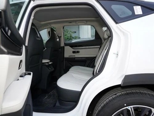 Hergestellt SUV 2023 Modell 1.6t 5-Türer 5-Sitzer Benzinwagen mit Anpassung von Jietu Dasheng