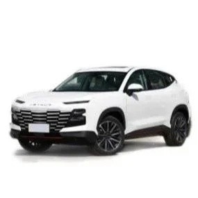 Carjietu Dasheng 2023 Modell 1,6 t 197 PS L4 DCT King PRO für ≤10000 km Kilometerlänge